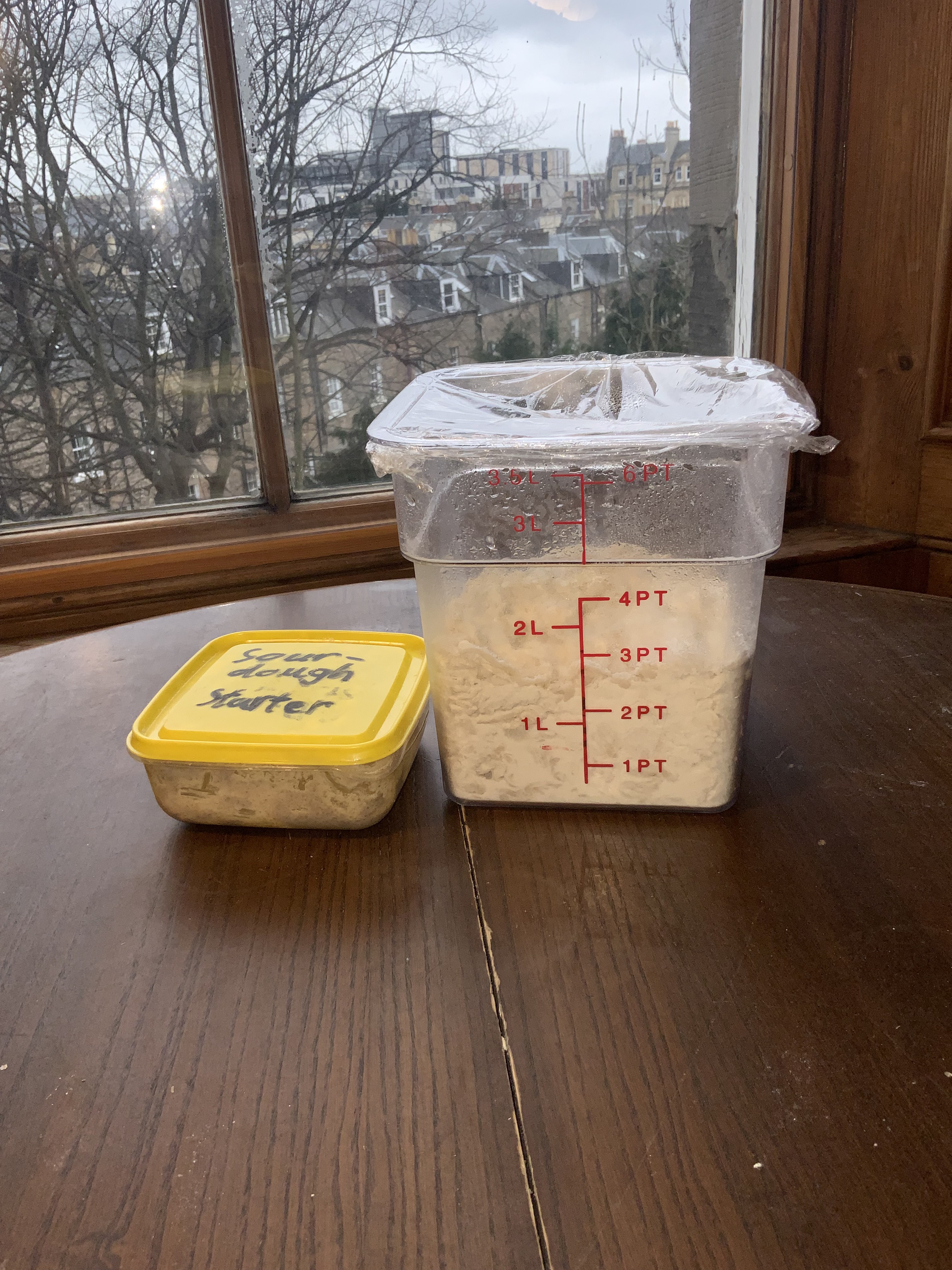 Both ferments prepared and ready for overnight development