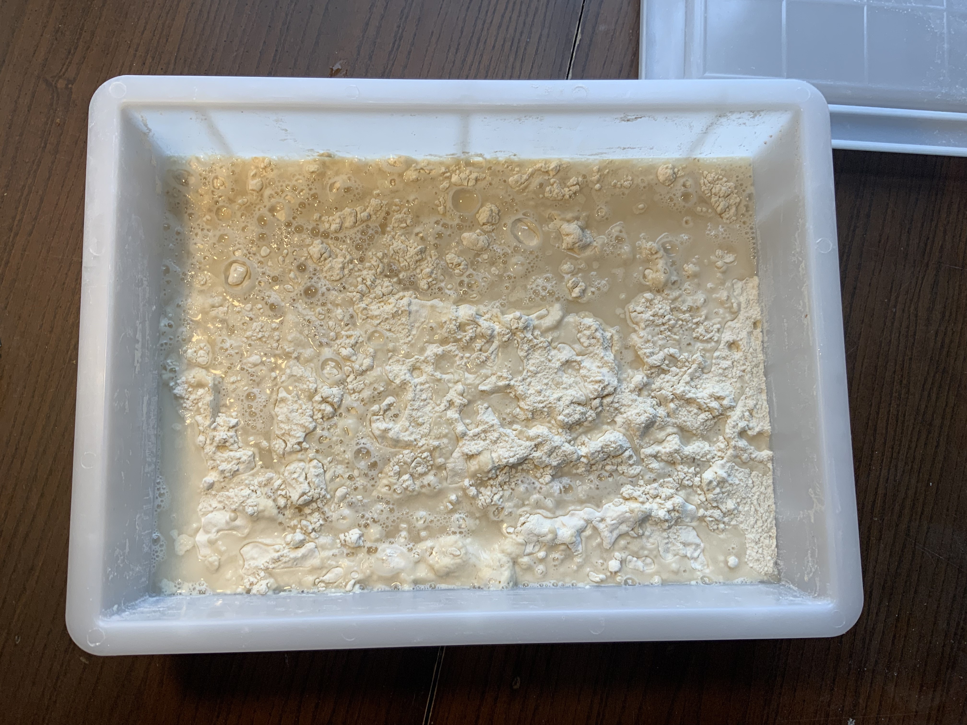 Mixed biga showing proper consistency