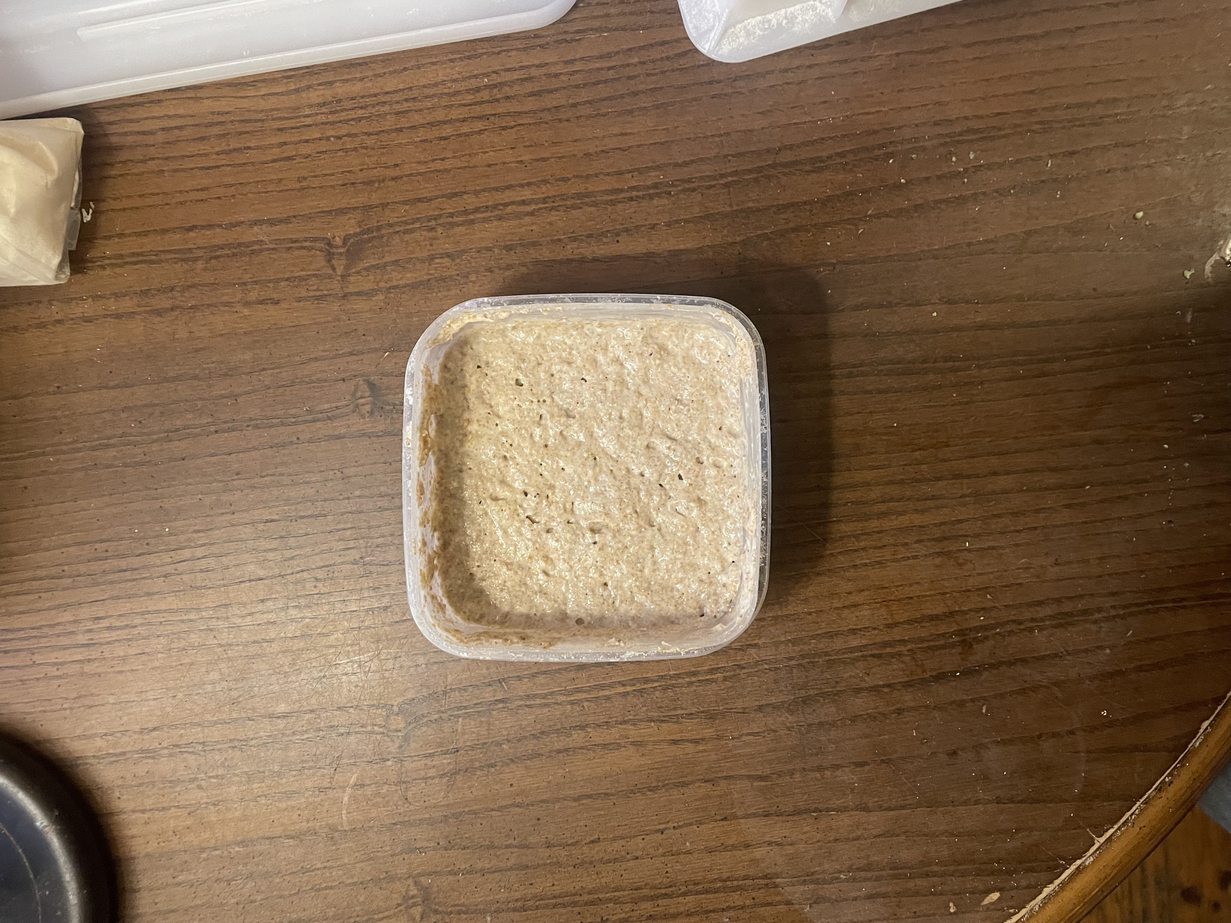 Adding whole grain flour to the starter