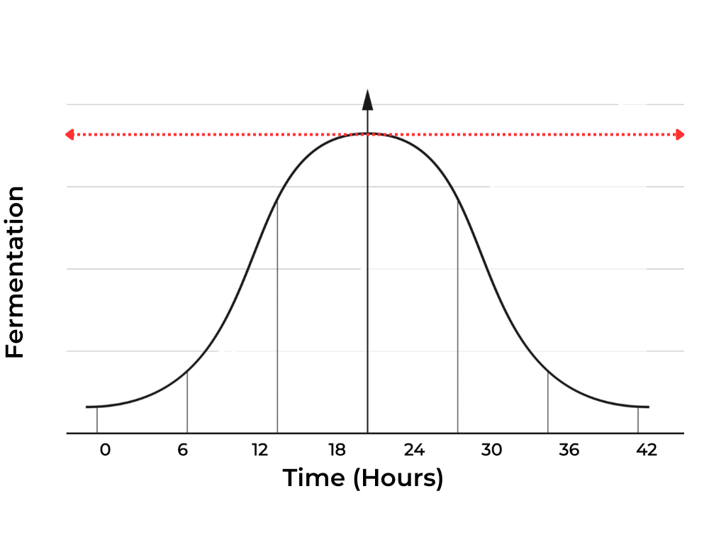 Overproofed dough graph