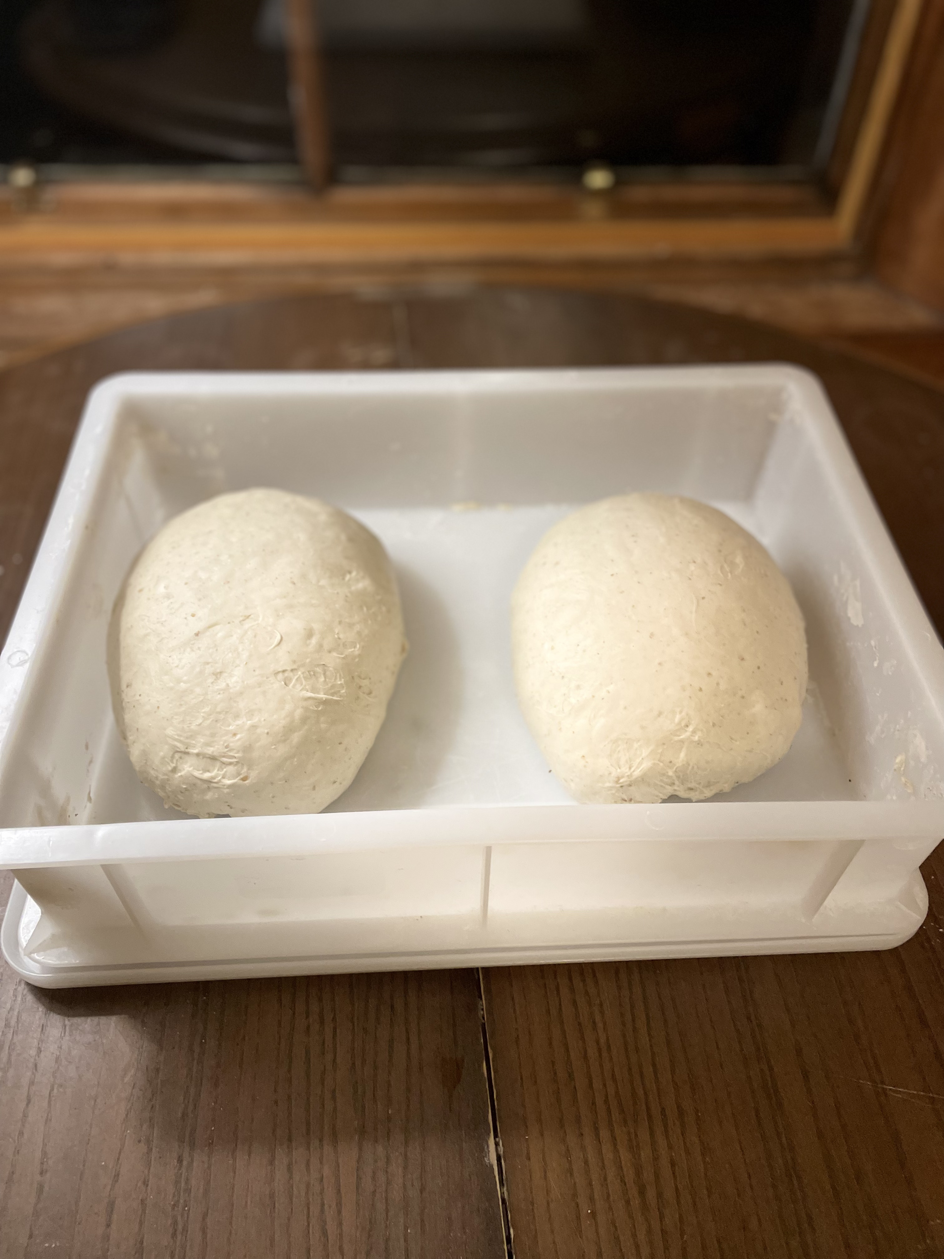 Pre-shaped dough rounds after division