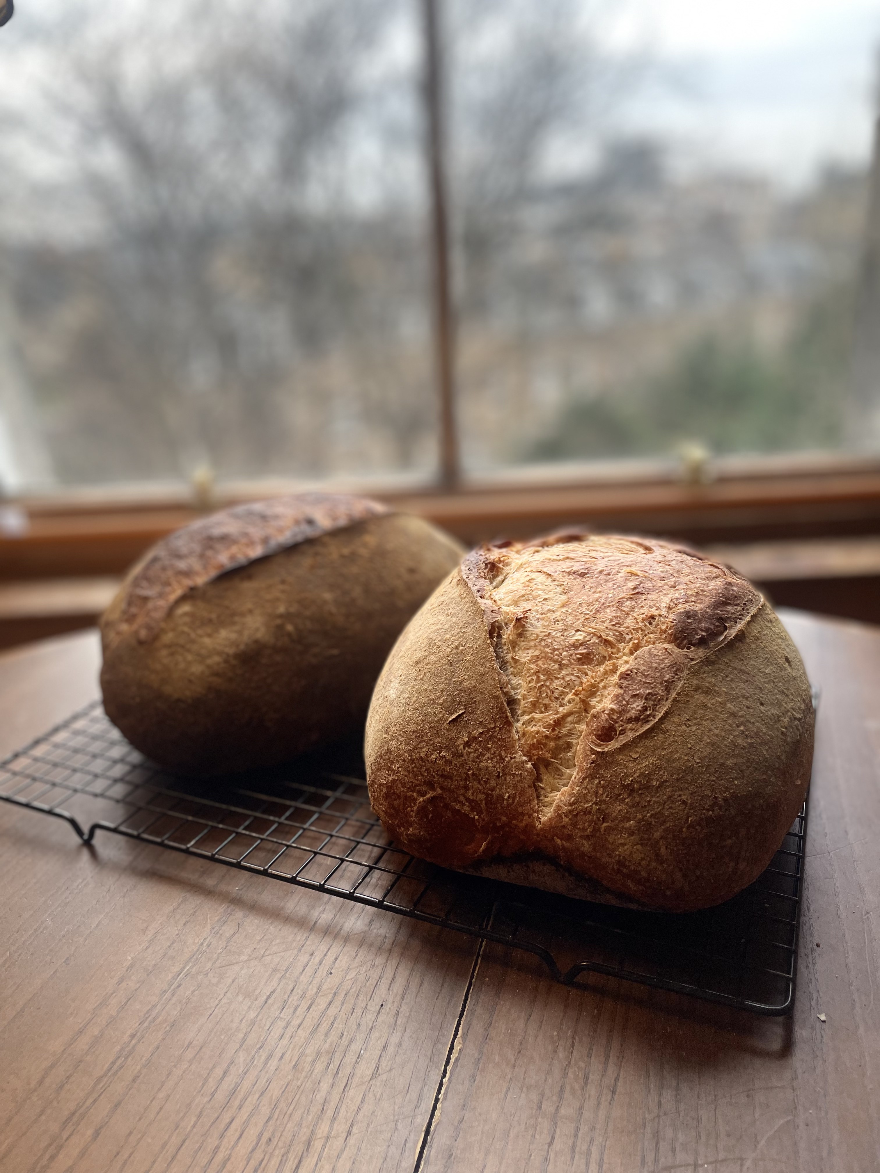 Beautifully baked sourdough loaf with golden crust and pronounced ear